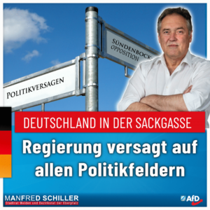 Manfred Schiller AfD - Politikversagen