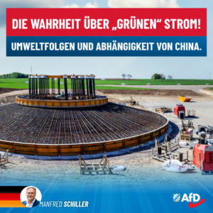 Manfred Schiller AfD - Die Wahrheit über grünen Strom