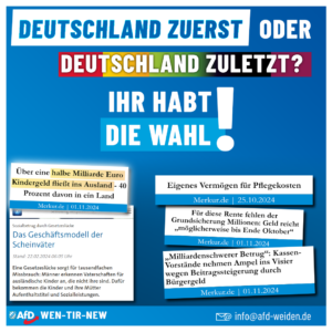 AfD Weiden - Kindergeld fürs Ausland