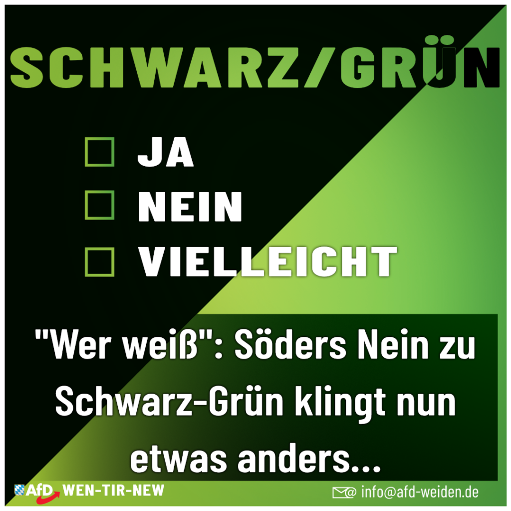 AfD - Weiden - Schwarz Grün - Ja Nein Vielleicht
